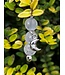 MOON BRIDLE CHARM