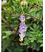 PURPLE DAISY BRIDLE CHARM