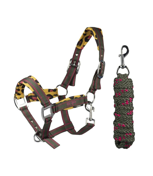 RED HORSE 'ROAR' HEADCOLLAR SET- Dark Olive