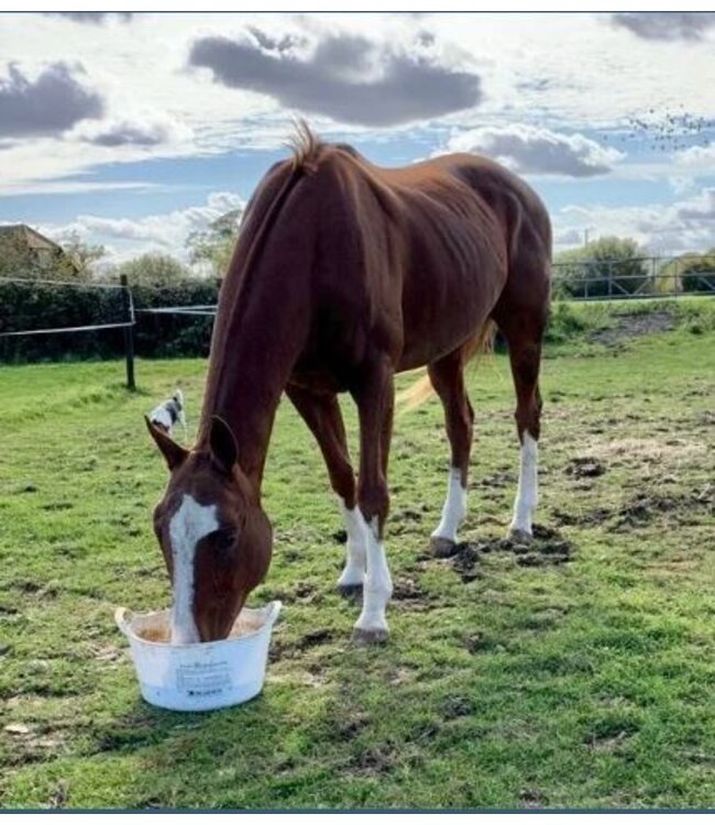 DALLAS KEITH EQUINE FLEXI TUBS 12.5kg - Menthol