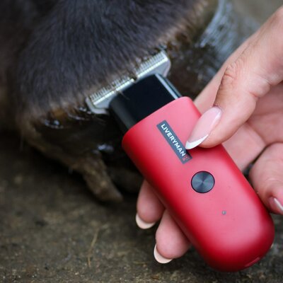 Clippers, Blades & Scissors