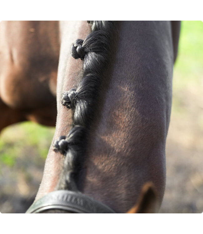 GLAS EQUINE PLAITING BANDS - Brown