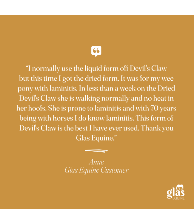 GLAS EQUINE DEVIL'S CLAW - 1kg