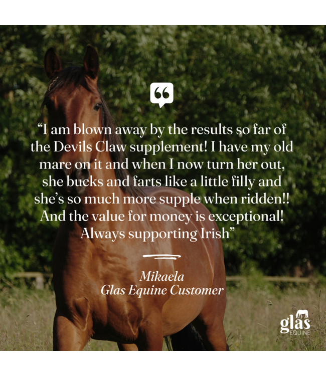 GLAS EQUINE DEVIL'S CLAW - 1kg