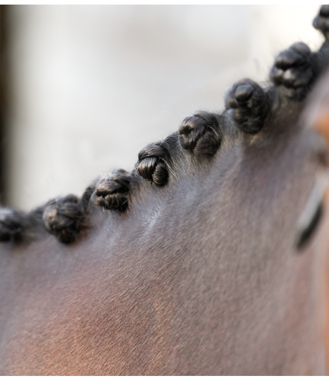 GLAS EQUINE WOODEN PLAITING COMB