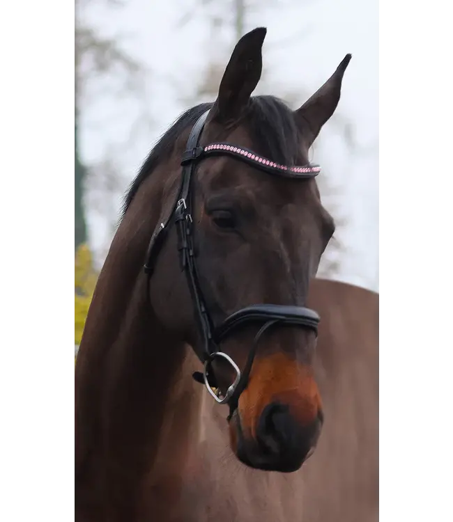 MACKEY SPARKLE BROWBAND Black - Baby Pink
