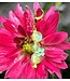 GREEN DAISY CHARM