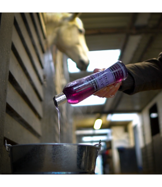 CDM LAVENDER LINIMENT - 500ml