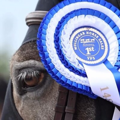 Performance & Muscle