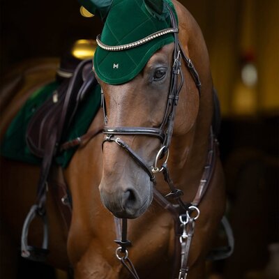 Fly Veils & Earplugs