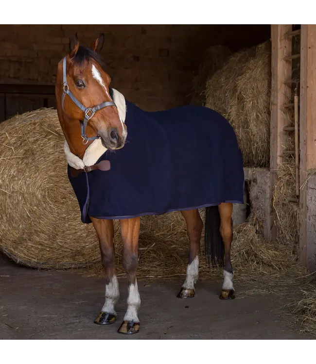 EQUITHÈME "TEDDY" WOOL RUG - Navy