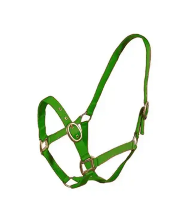 EQUISENTIAL NYLON HEADCOLLAR - Weanling