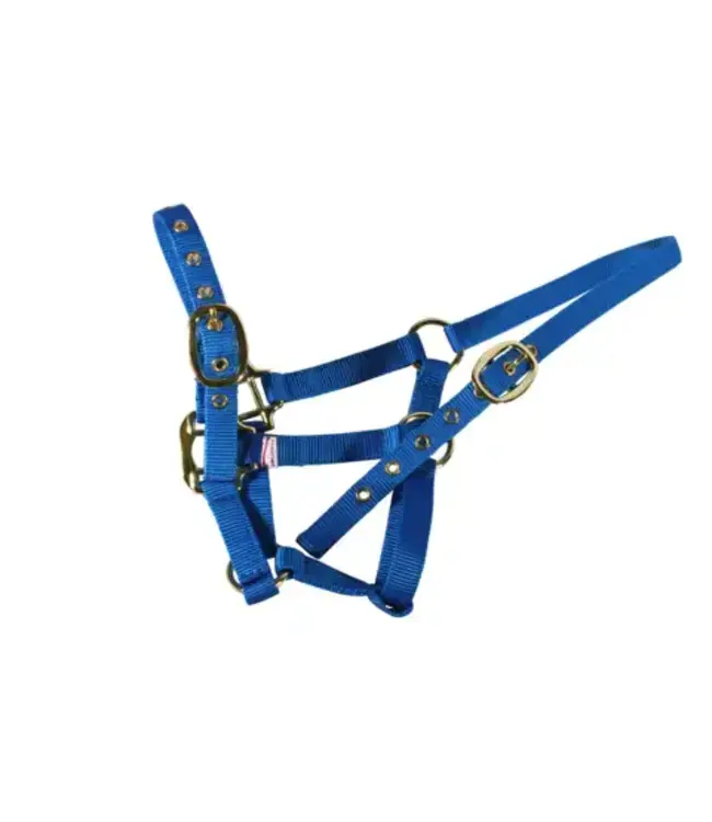 EQUISENTIAL NYLON HEADCOLLAR - Weanling