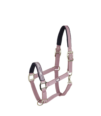 Schockemohle SCHOCKEMOHLE 'MEMPHIS' NYLON HEADCOLLAR - Zephyr