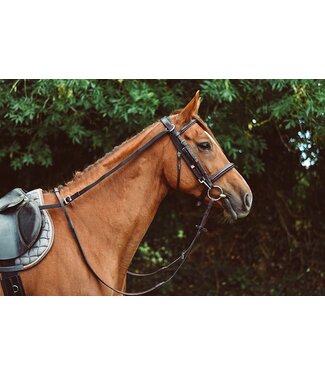 EquiSential EQUISENTIAL ANTI-GRAZING REINS - Black