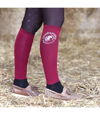 Sandstorm Equestrian SANDSTORM SHOW SOCKS - Burgundy