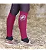 Sandstorm Equestrian SANDSTORM SHOW SOCKS - Burgundy