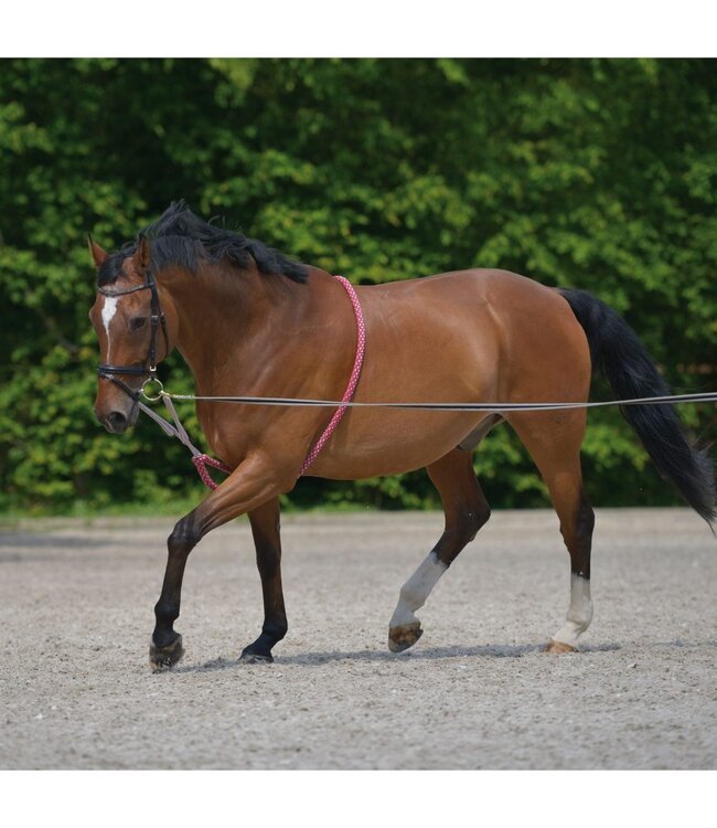 WALDHAUSEN LUNGING AID - Black