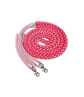 Waldhausen WALDHAUSEN LUNGING AID - Red/Grey