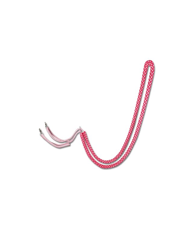 WALDHAUSEN LUNGING AID - Red/Grey