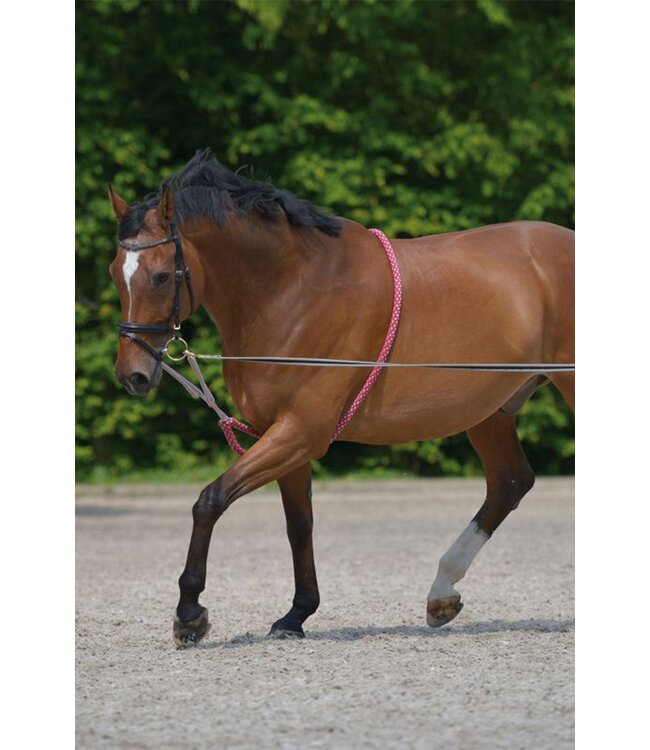 WALDHAUSEN LUNGING AID - Red/Grey