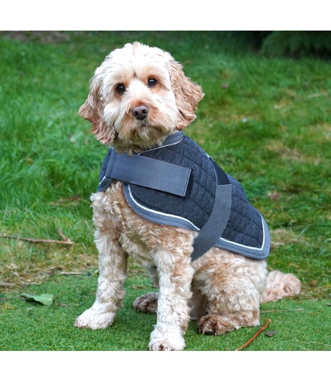 MACKEY THERMO DOG RUG - Navy