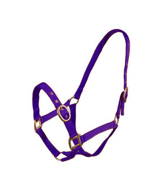 Turfmasters TM NYLON HEADCOLLAR - Purple