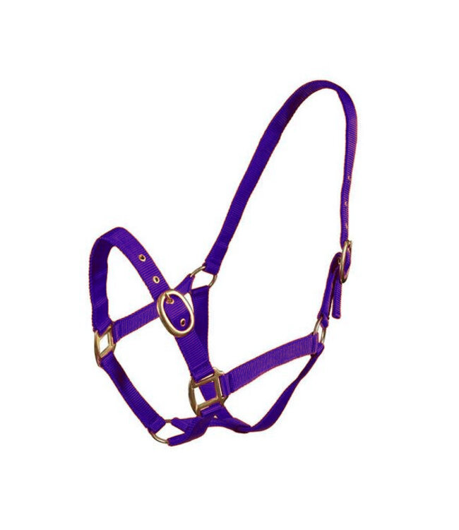 TM NYLON HEADCOLLAR - Purple