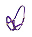 Turfmasters TM NYLON HEADCOLLAR - Purple