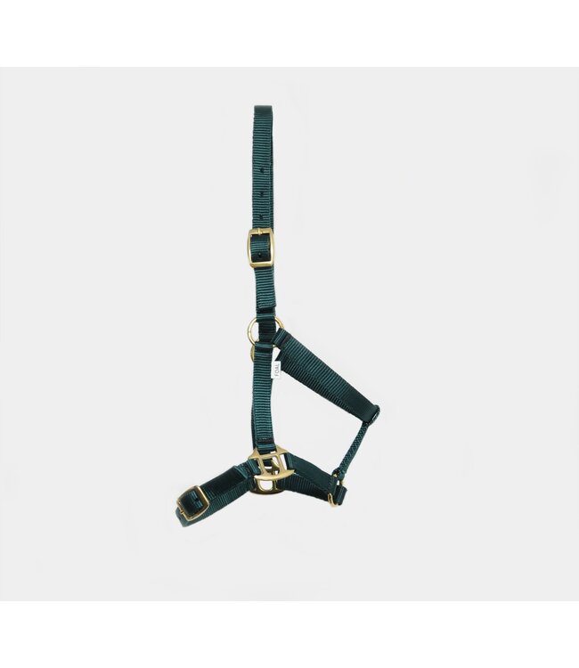 TM NYLON HEADCOLLAR - Green