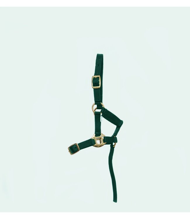 TM NYLON HEADCOLLAR - Green