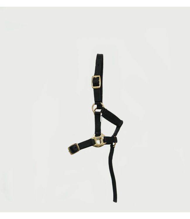 TM NYLON HEADCOLLAR - Black