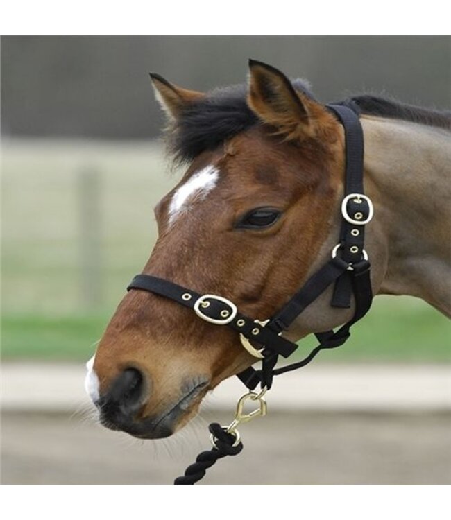 TM NYLON HEADCOLLAR - Black