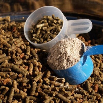 Multivitamins & Tonics