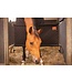 Paddock PADDOCK STALL DOOR