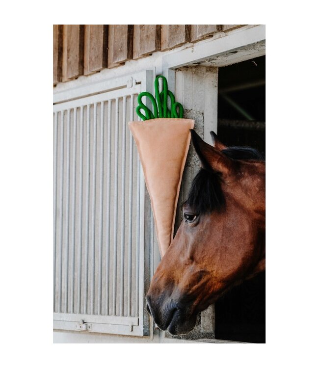 HIPPOTONIC HORSE TOY - Carrot