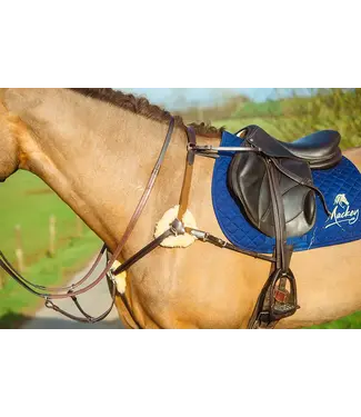 Mackey MACKEY CLASSIC 5-POINT BREASTPLATE - Brown