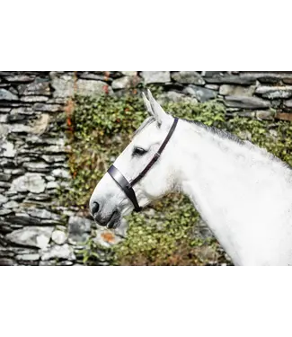 Mackey MACKEY CLASSIC WIDE FLAT CAVESSON NOSEBAND - Brown