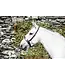 Mackey MACKEY CLASSIC WIDE FLAT CAVESSON NOSEBAND - Brown