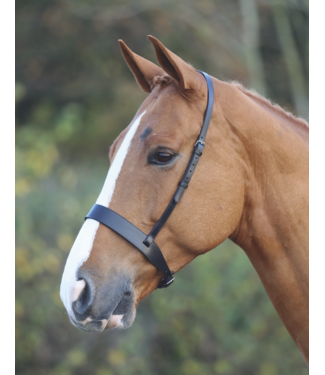 Mackey MACKEY CLASSIC WIDE FLAT CAVESSON NOSEBAND - Black