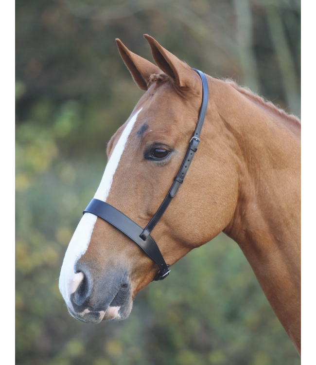 MACKEY CLASSIC WIDE FLAT CAVESSON NOSEBAND - Black