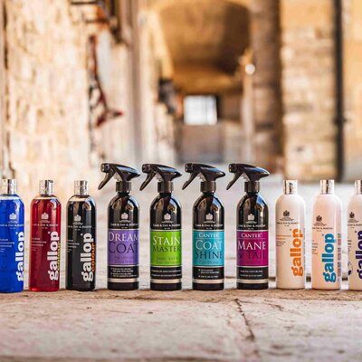 Shampoos, Sprays & Sponges