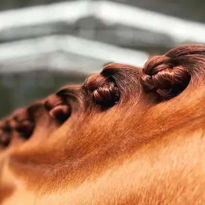 Plaiting & Accessories