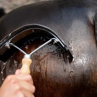 Sweat Scrapers & Hoof Picks