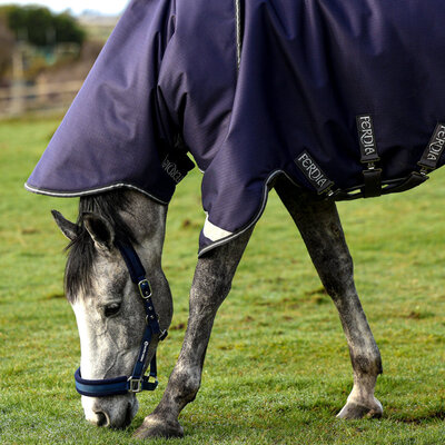 Turnout Rugs