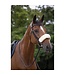 Equithème EQUITHEME NOSEBAND COVER - Cream