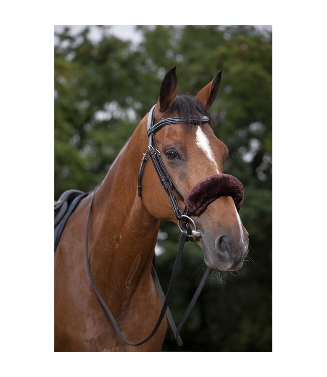 EQUITHEME NOSEBAND COVER - Brown