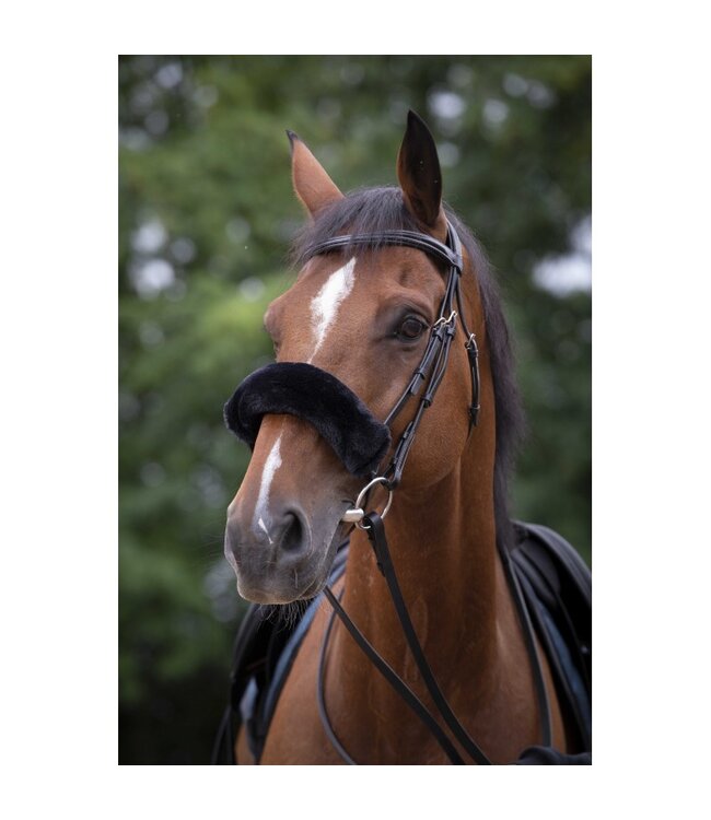 EQUITHEME NOSEBAND COVER - Black