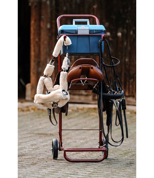 HIPPOTONIC TACK TROLLEY