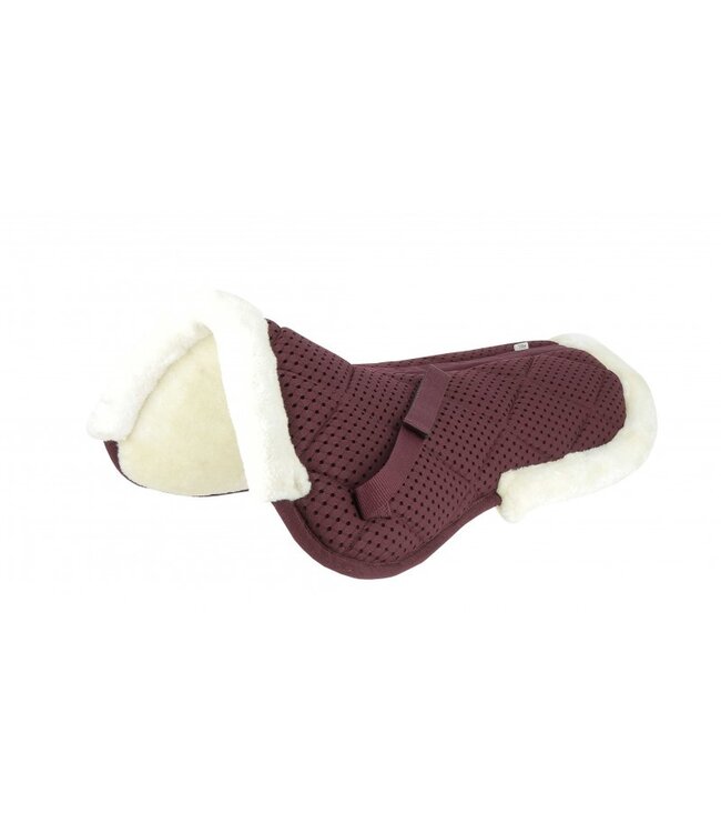 EQUITHEME PRO AIR SHOCK ABSORBER - Full